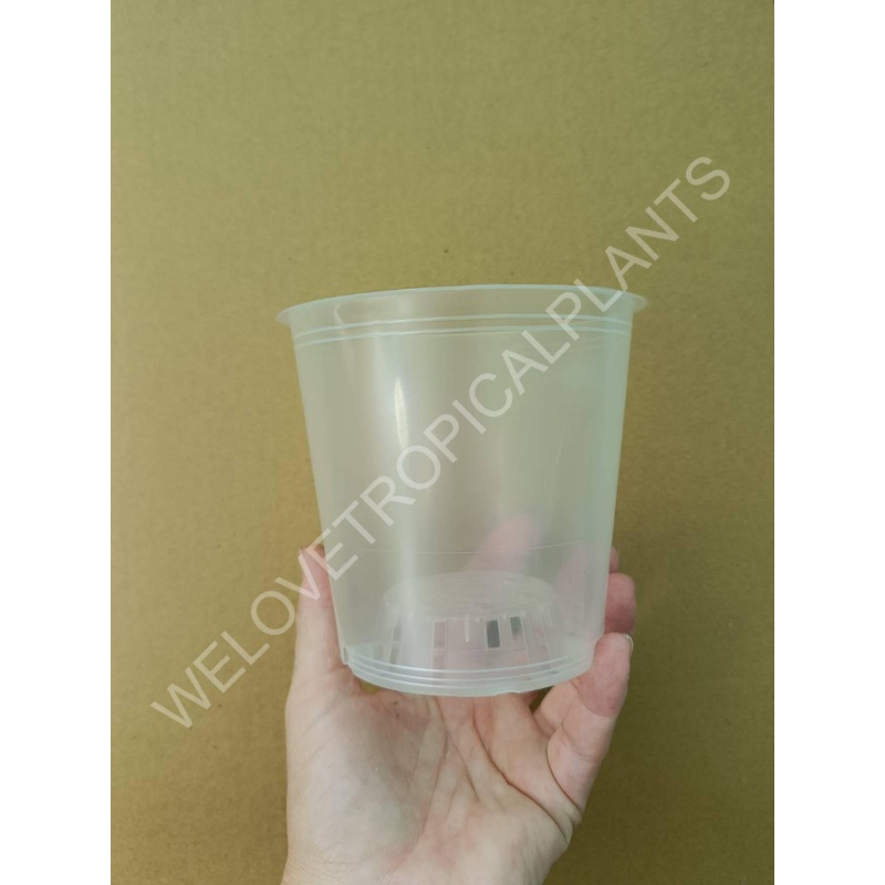 Transparent pot 12 cm – 10x