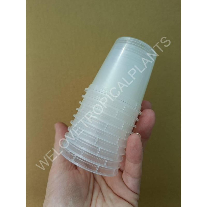 Transparent pot 6 cm – 10x