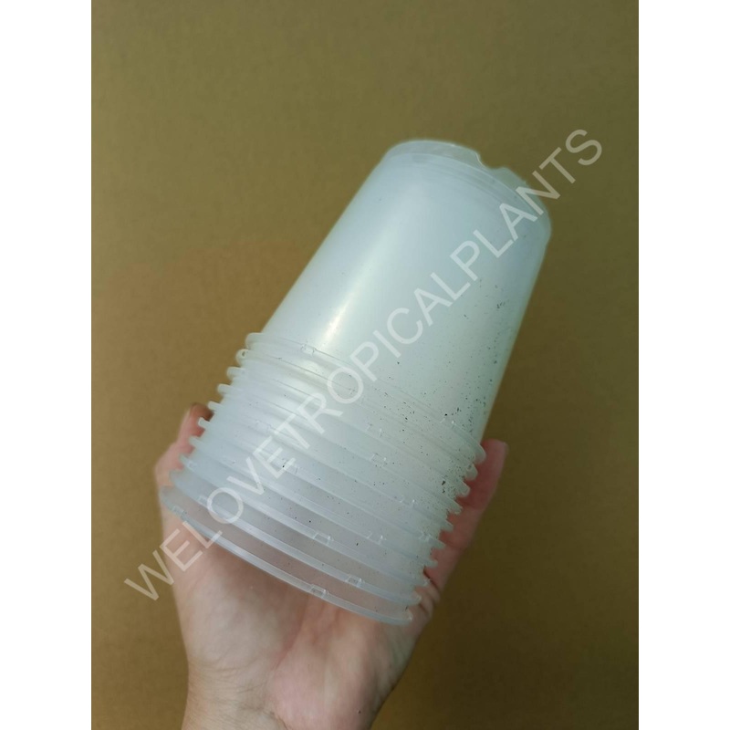 Transparent pot 9 cm – 10x