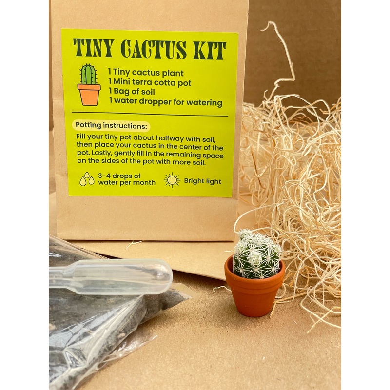 Tiny Cactus Kit – 5 PACK