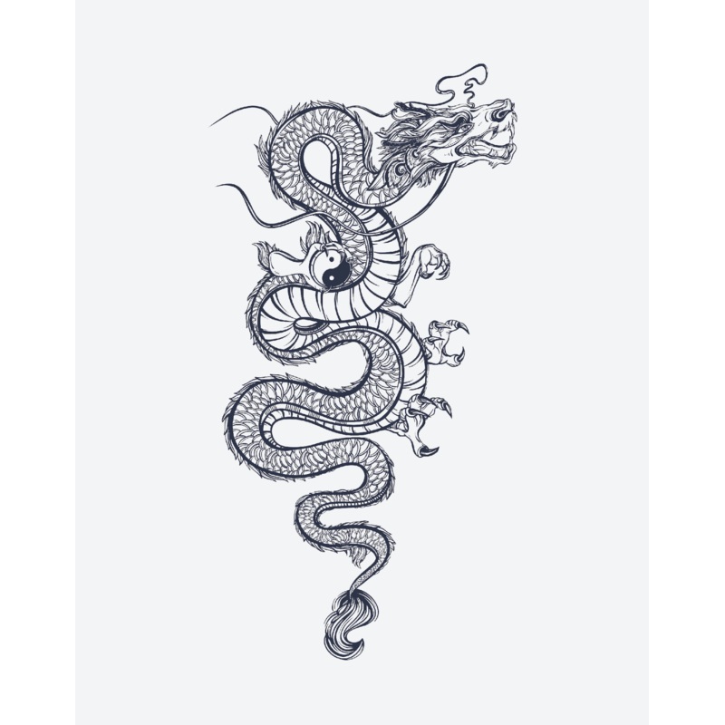 Yin Yang Dragon