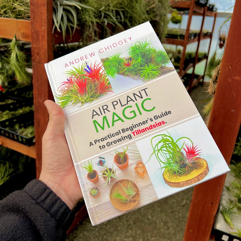 Air Plant Magic Hardcover <br> (Beginners Air Plant Guide!)